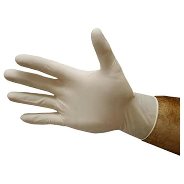 Pathways Powder Free Latex Gloves; Large, 100PK PA830361 - main